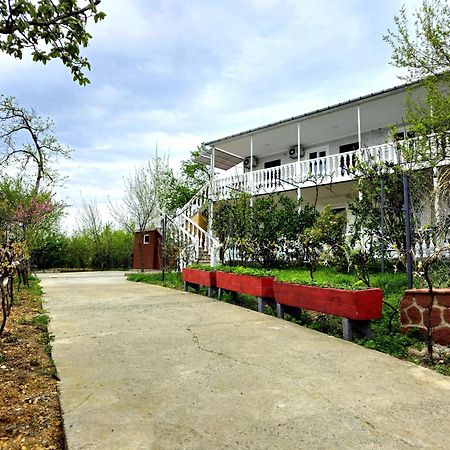 Hilltop Guest House 库塔伊西 外观 照片