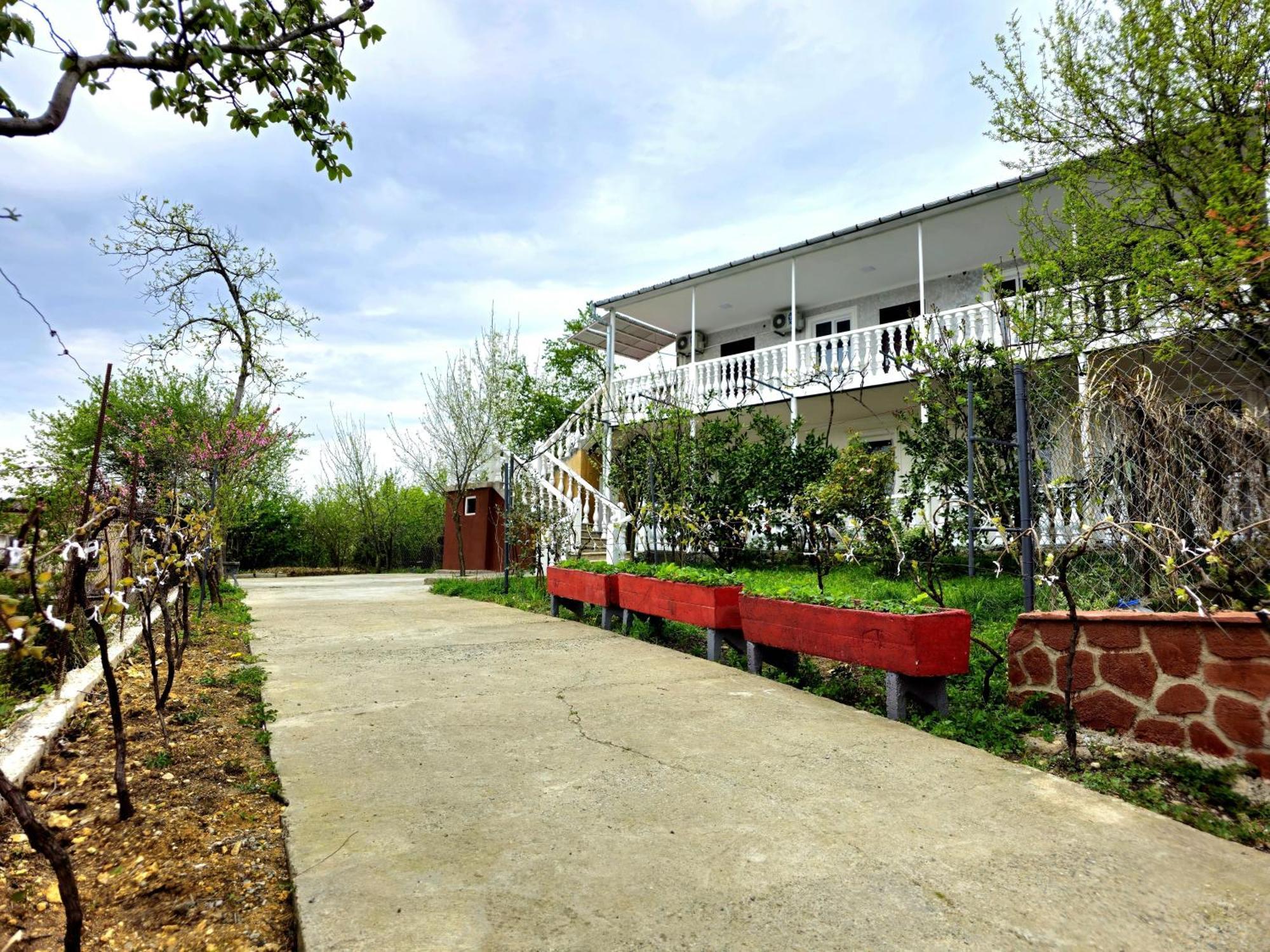 Hilltop Guest House 库塔伊西 外观 照片